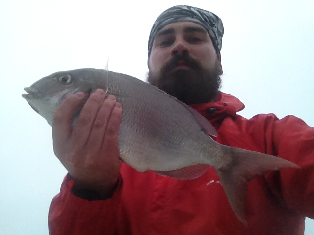monster porgy