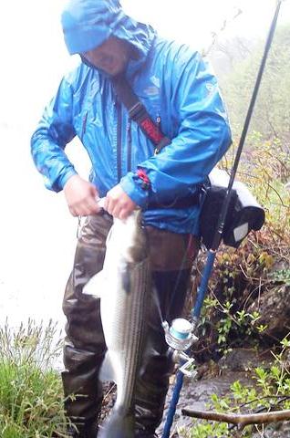 IMG952013051195173602